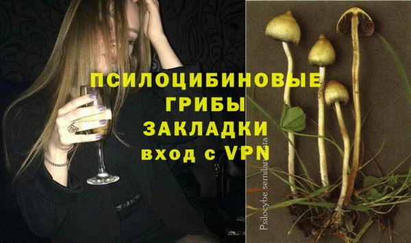 шишки Володарск